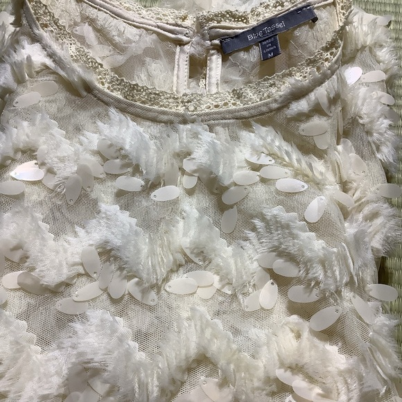 Anthropologie Blue Tassel Sleeveless Cream Top with Disk Sequins - Picture 8 of 8